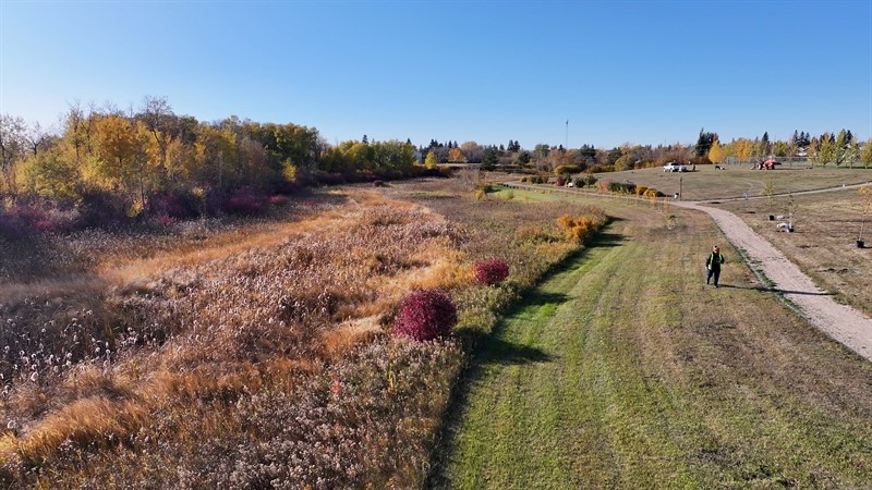 Town of Borden Drone Photo