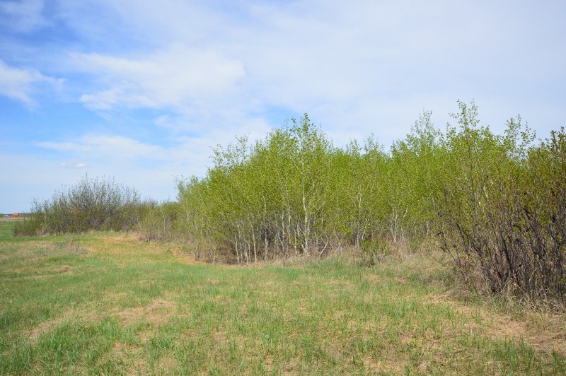 80d28b7e-3dfa-4e87-ac9e-1468858be9bd