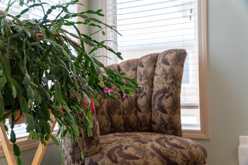sunny corner for relaxing at Borden Care Home